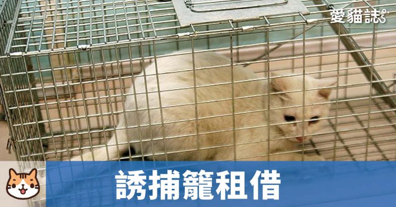 誘捕籠哪裡借？全台誘捕籠租借名單總整理｜愛貓聯盟誘捕籠地圖